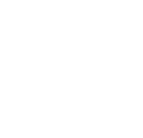 Icon of Brain with connectors